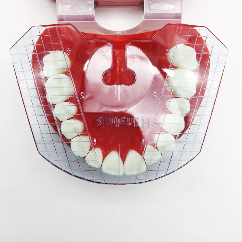 1db Dental Lab Fogászati vezetőlemez Fogak elrendezése műfogsorszerszámokon Fogászati ellátó fog - 5