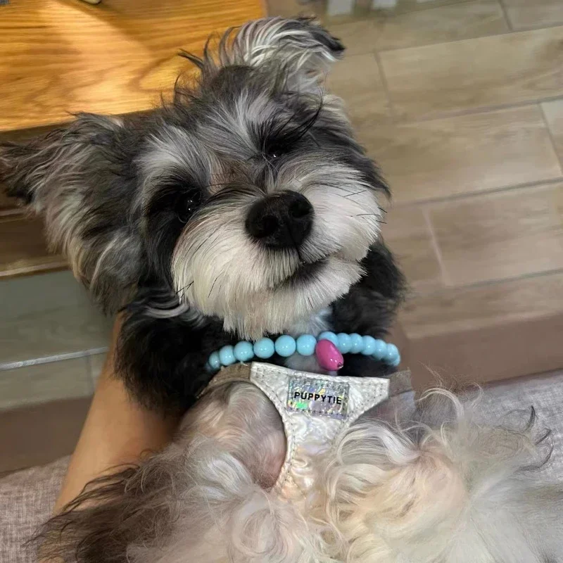 Kisállat nyakörv szivárvány Macaron macska kutya gyöngy nyaklánc szív alakú dísz kisállat kutya kiegészítők - 5