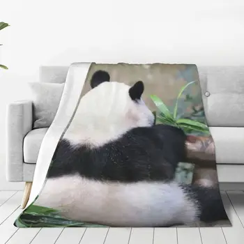 Fubao Aibao Panda Fu Bao takaró puha plüss Anti-pilling flanel takarók a tartós, hosszan tartó utazáshoz