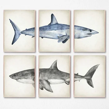 Északi bálna cápa Splicing poszter Tengeri állat kombó vászon festmény nyomatok Fali művészeti képek nappalihoz Gyerekszoba Otthoni dekoráció