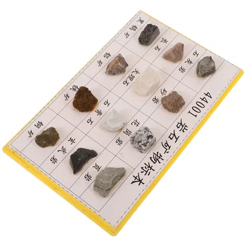 12 db kőzetminta készlet A biológiai kísérleti minták általános és középiskolák számára